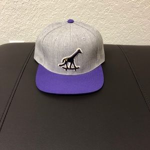 LRG Snapback